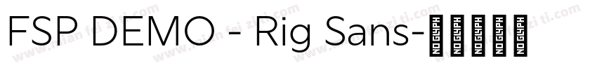FSP DEMO - Rig Sans字体转换